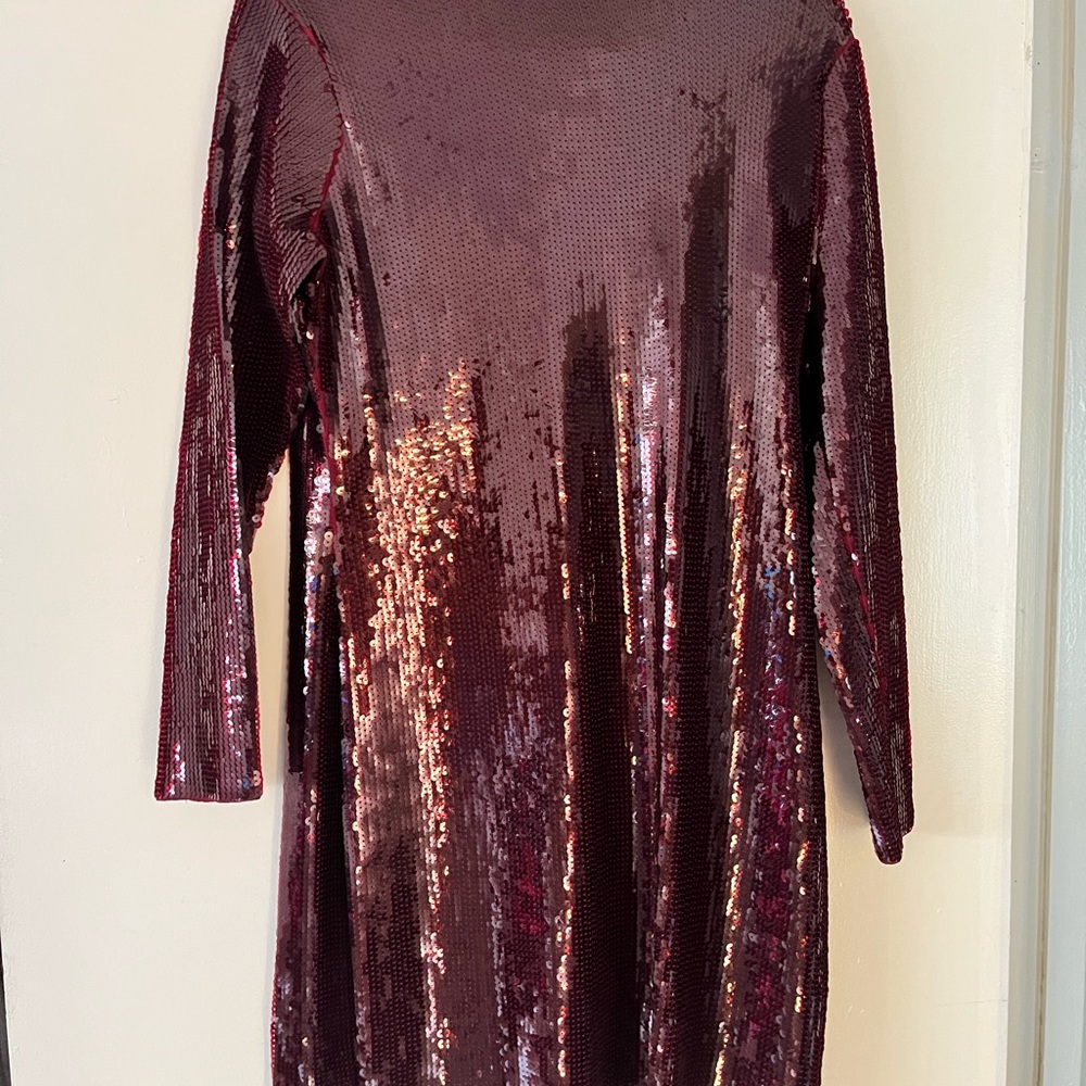 Express Burgundy Sequin Long Sleeve Dress